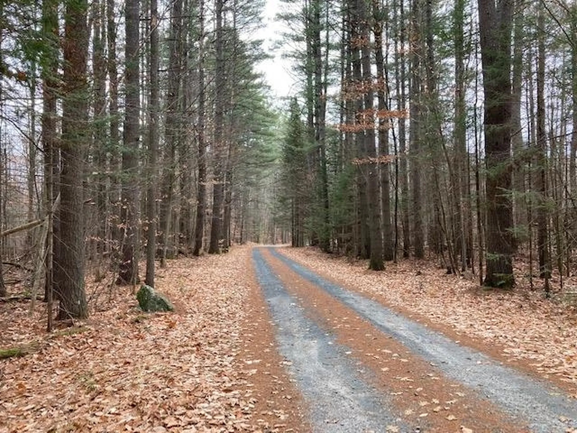 Blueberry Woods Drive Canaan NH 03741