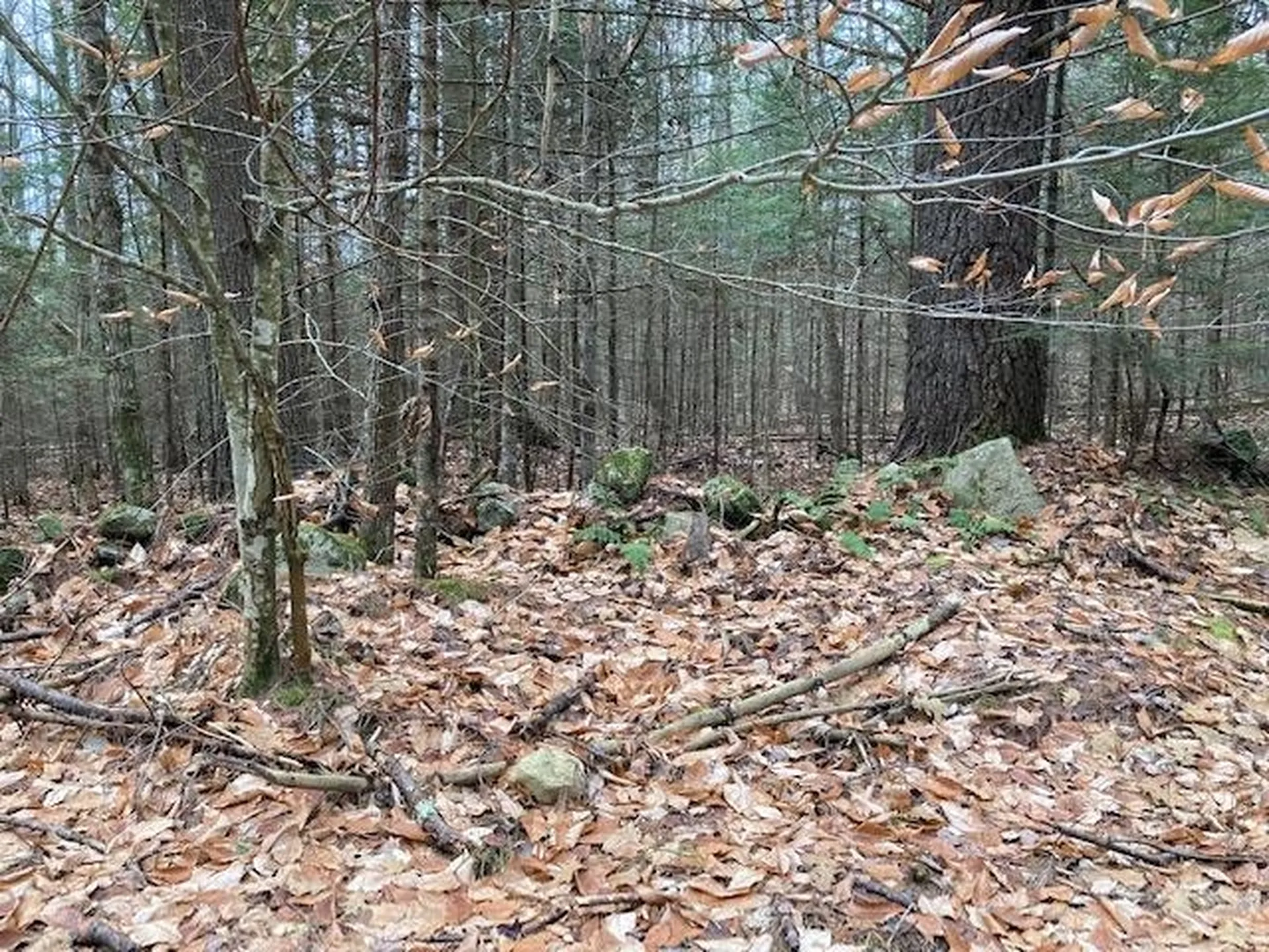 Blueberry Woods Drive Canaan NH 03741
