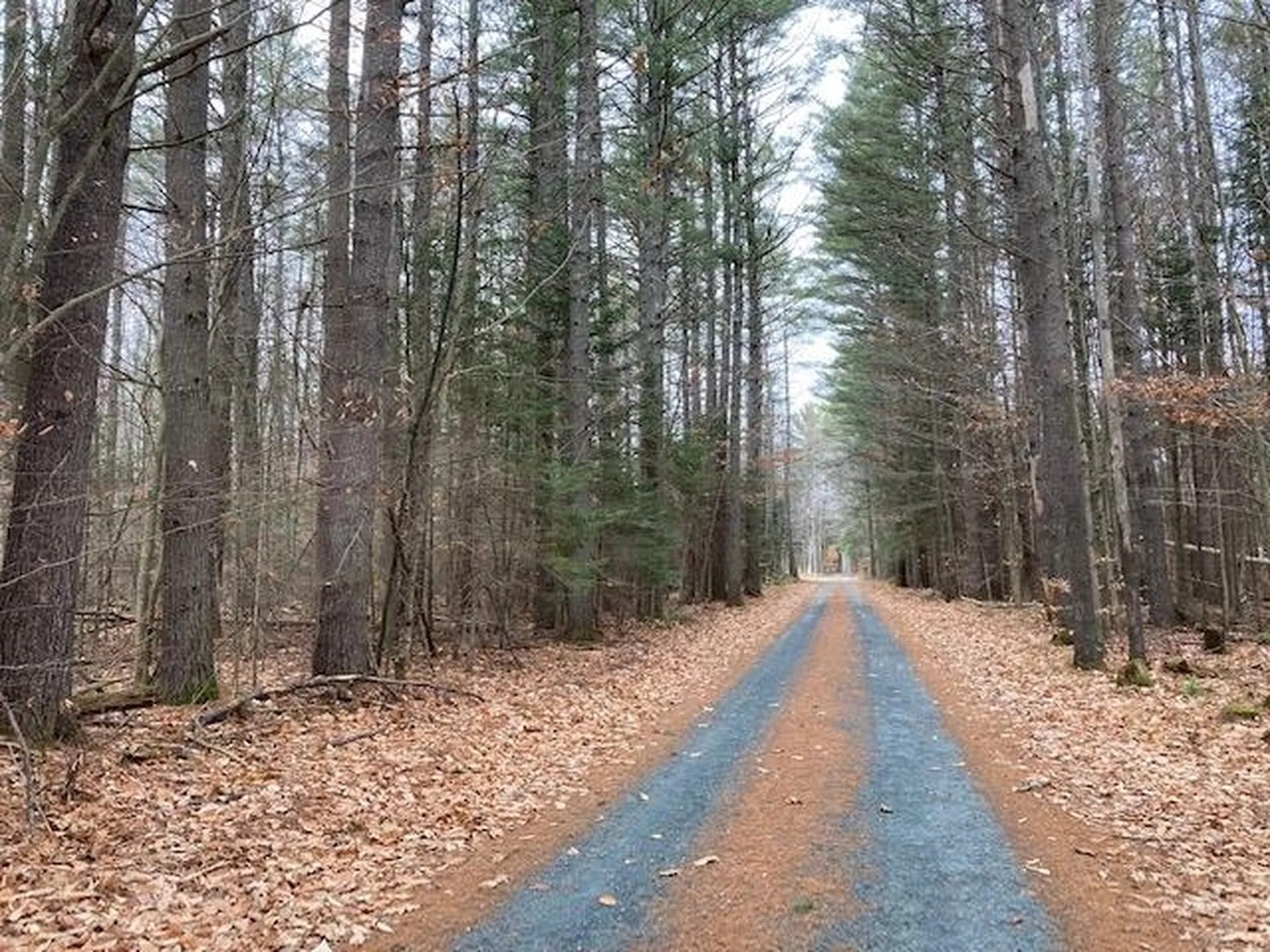 Blueberry Woods Drive Canaan NH 03741