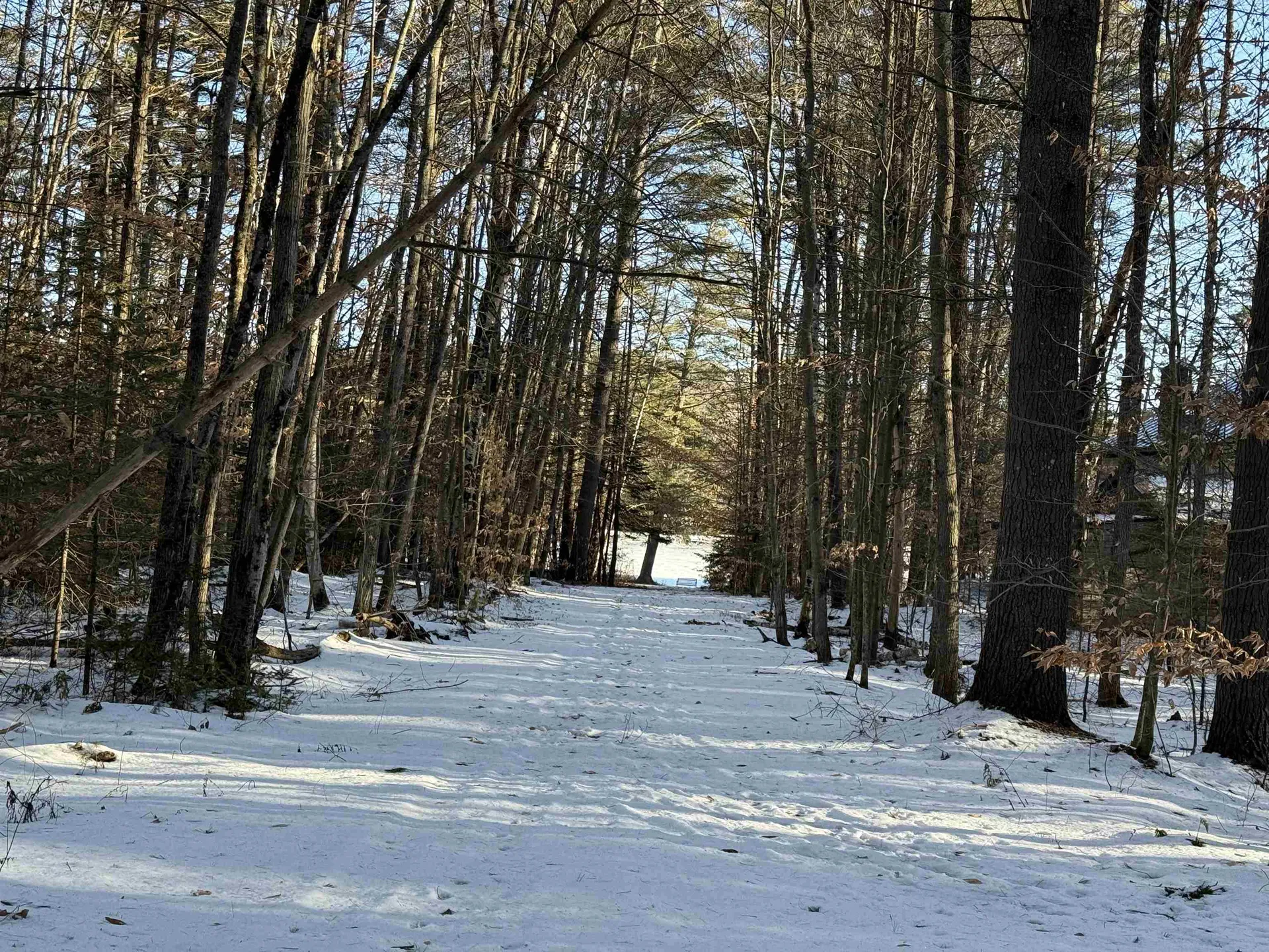 Blueberry Woods Drive Canaan NH 03741