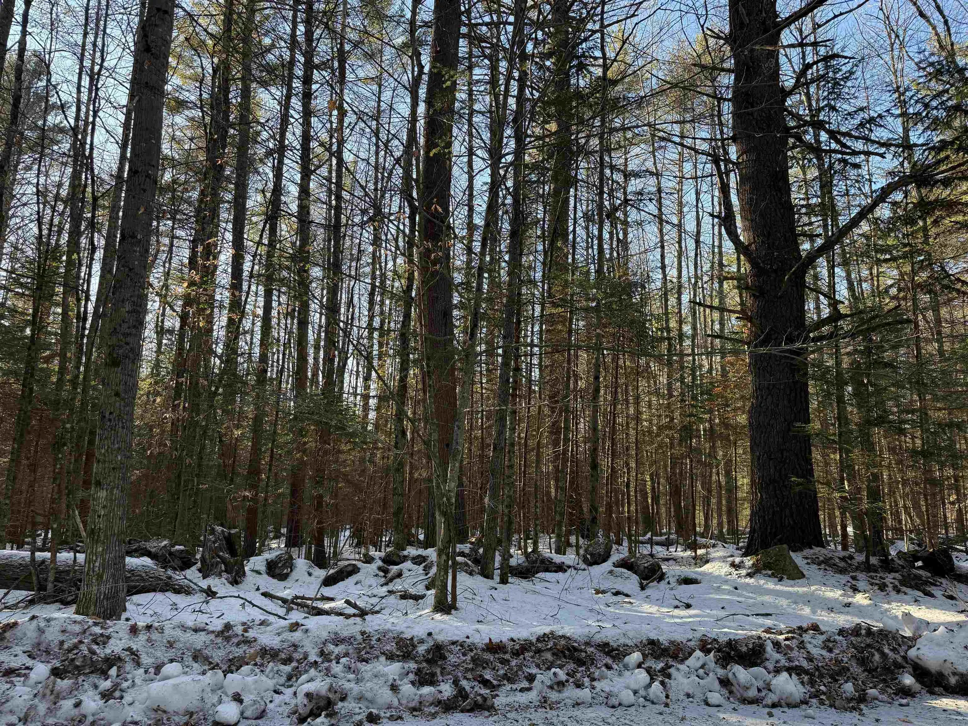 Blueberry Woods Drive Canaan NH 03741
