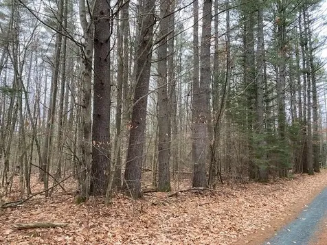 Blueberry Woods Drive Canaan NH 03741