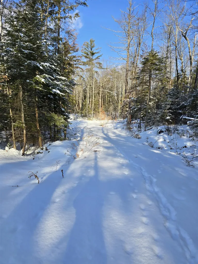 Tbd Stocker Pond Road Grantham NH 03753