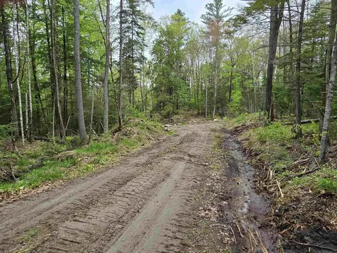 Tbd Stocker Pond Road Grantham NH 03753