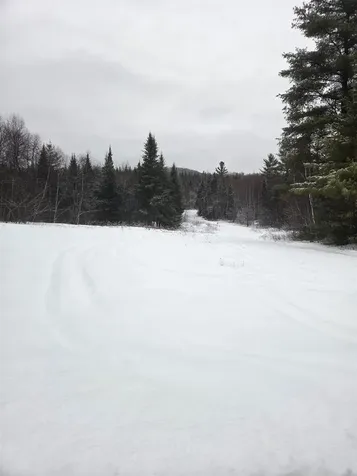 0 Bell Hill Road Stark NH 03582