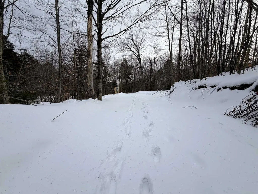 469 Williams Road Chester VT 05143