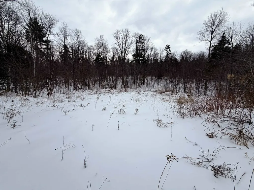 469 Williams Road Chester VT 05143