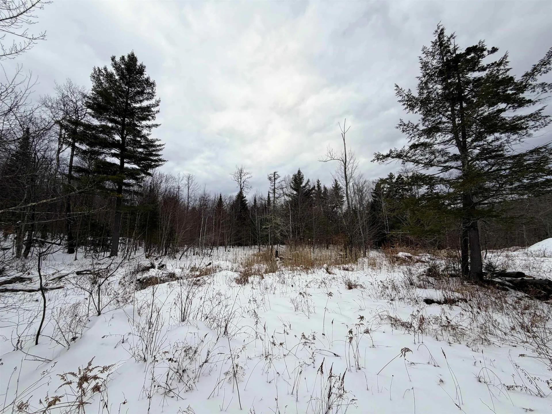 469 Williams Road Chester VT 05143