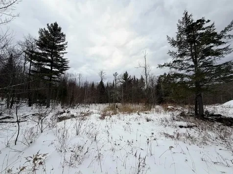 469 Williams Road Chester VT 05143