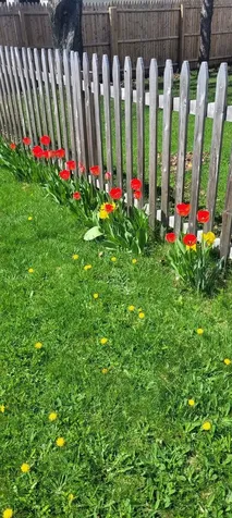 23 Countryside Avenue Berlin NH 03570