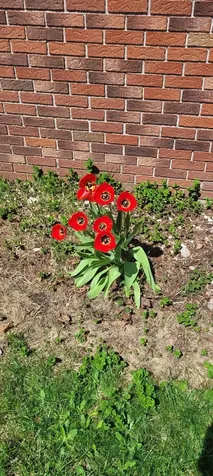 23 Countryside Avenue Berlin NH 03570