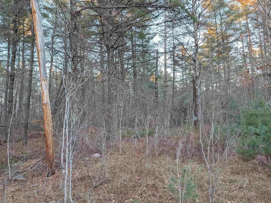 13 Cattail Lane Milton NH 03852