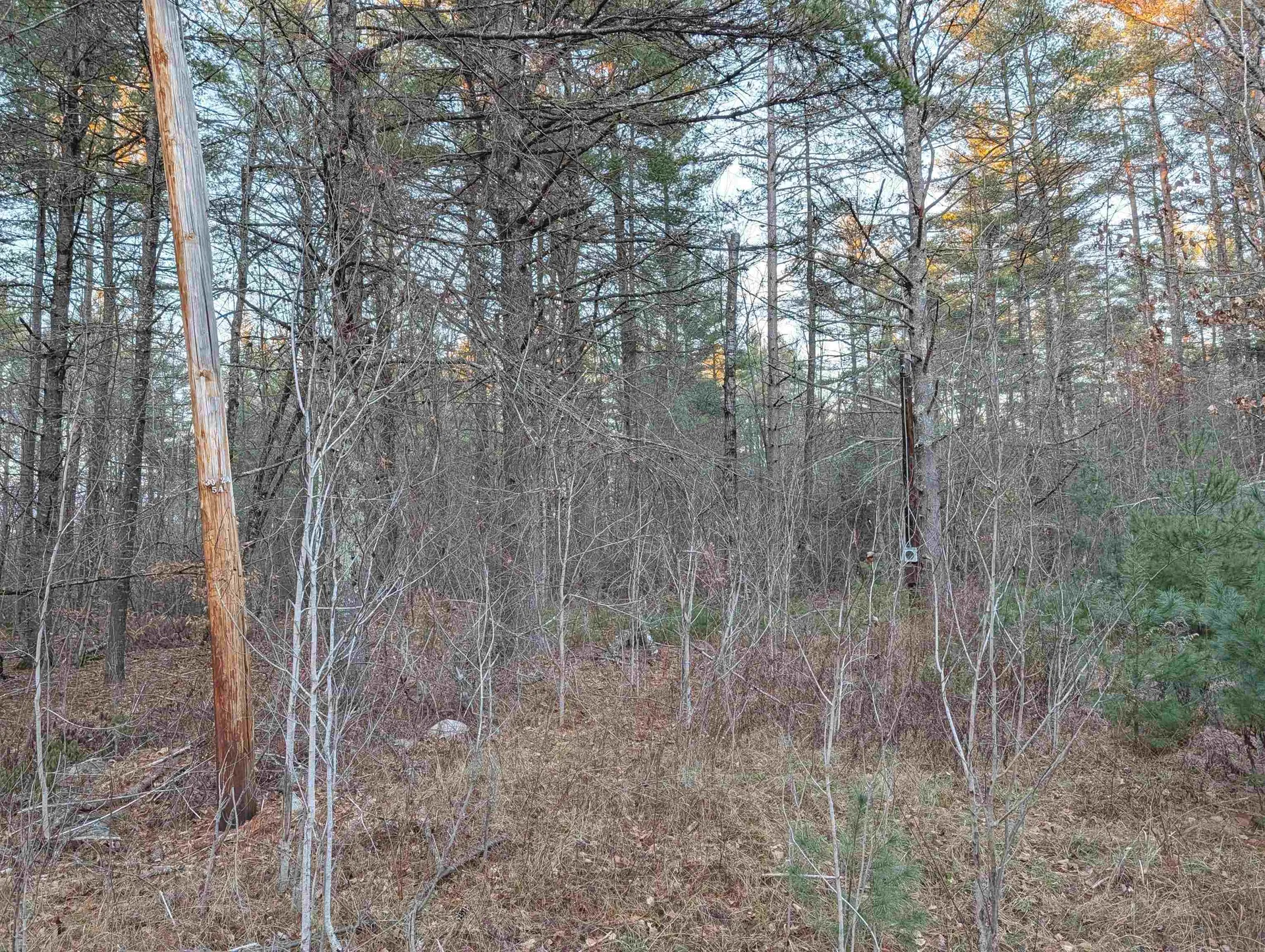 13 Cattail Lane Milton NH 03852