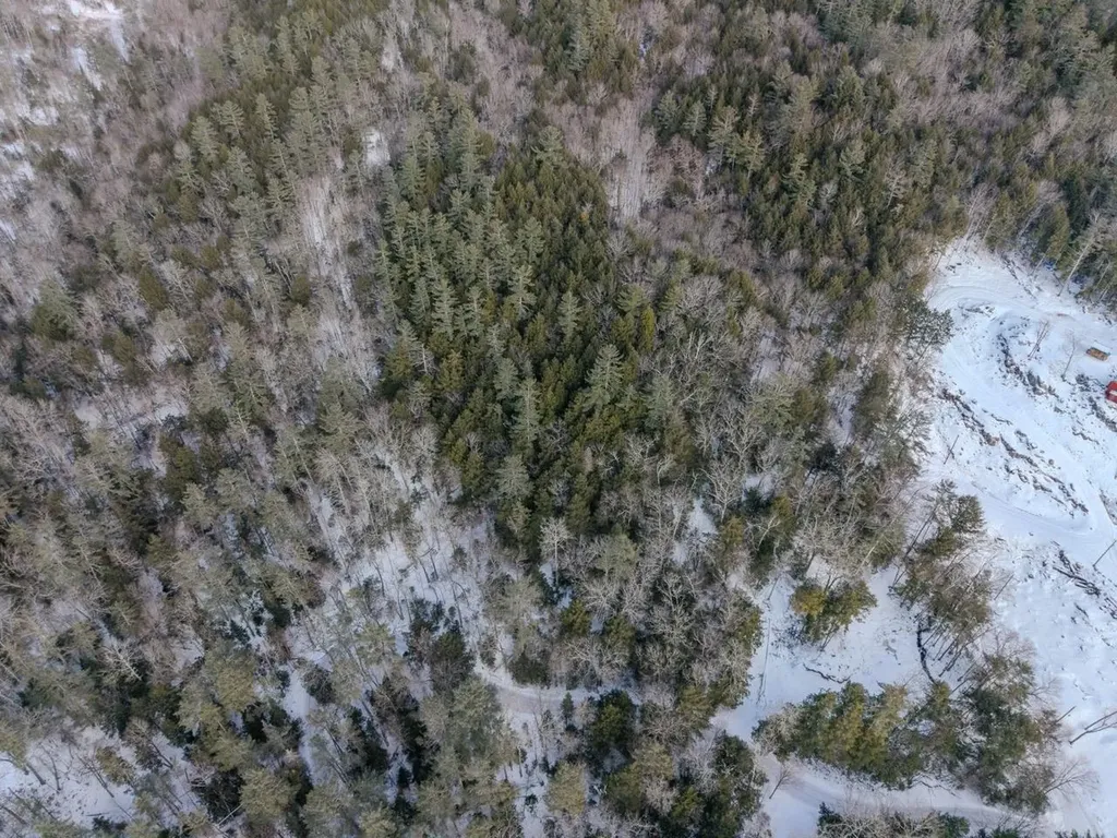 00 Wetherbee Road Lyman NH 03585