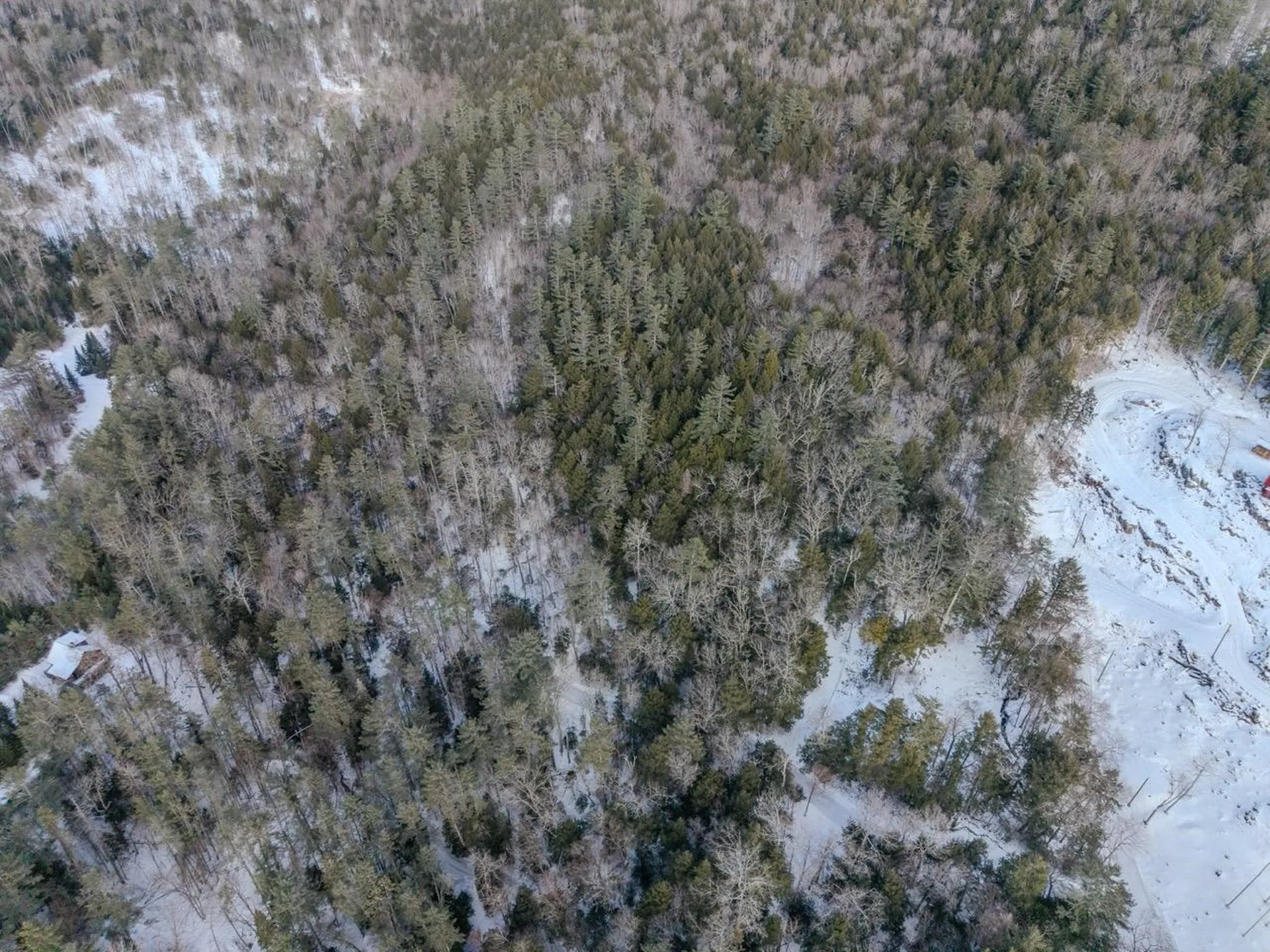 00 Wetherbee Road Lyman NH 03585