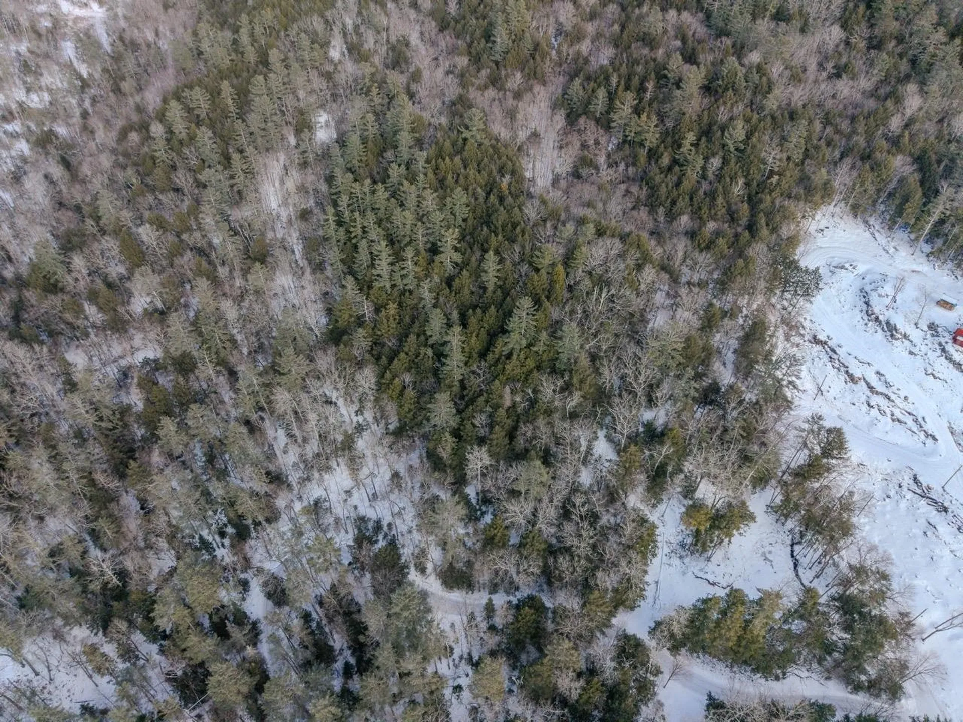 00 Wetherbee Road Lyman NH 03585