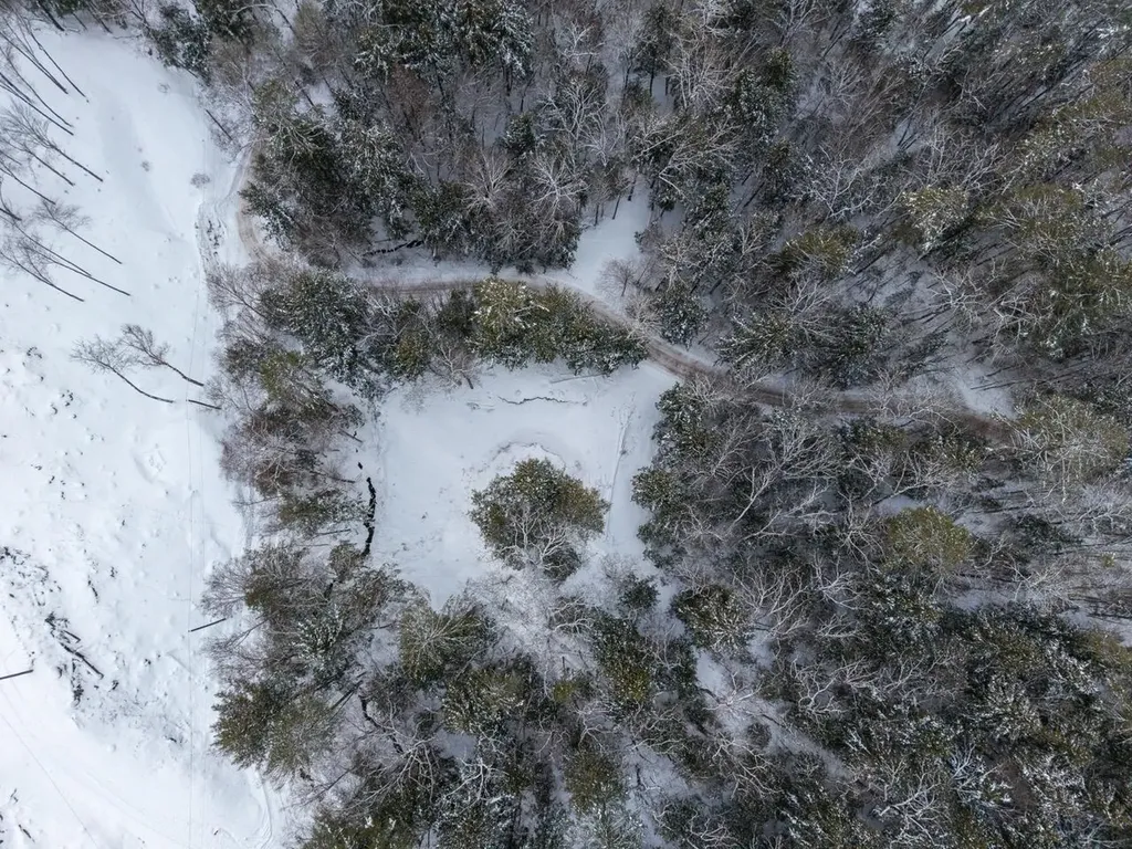 00 Wetherbee Road Lyman NH 03585