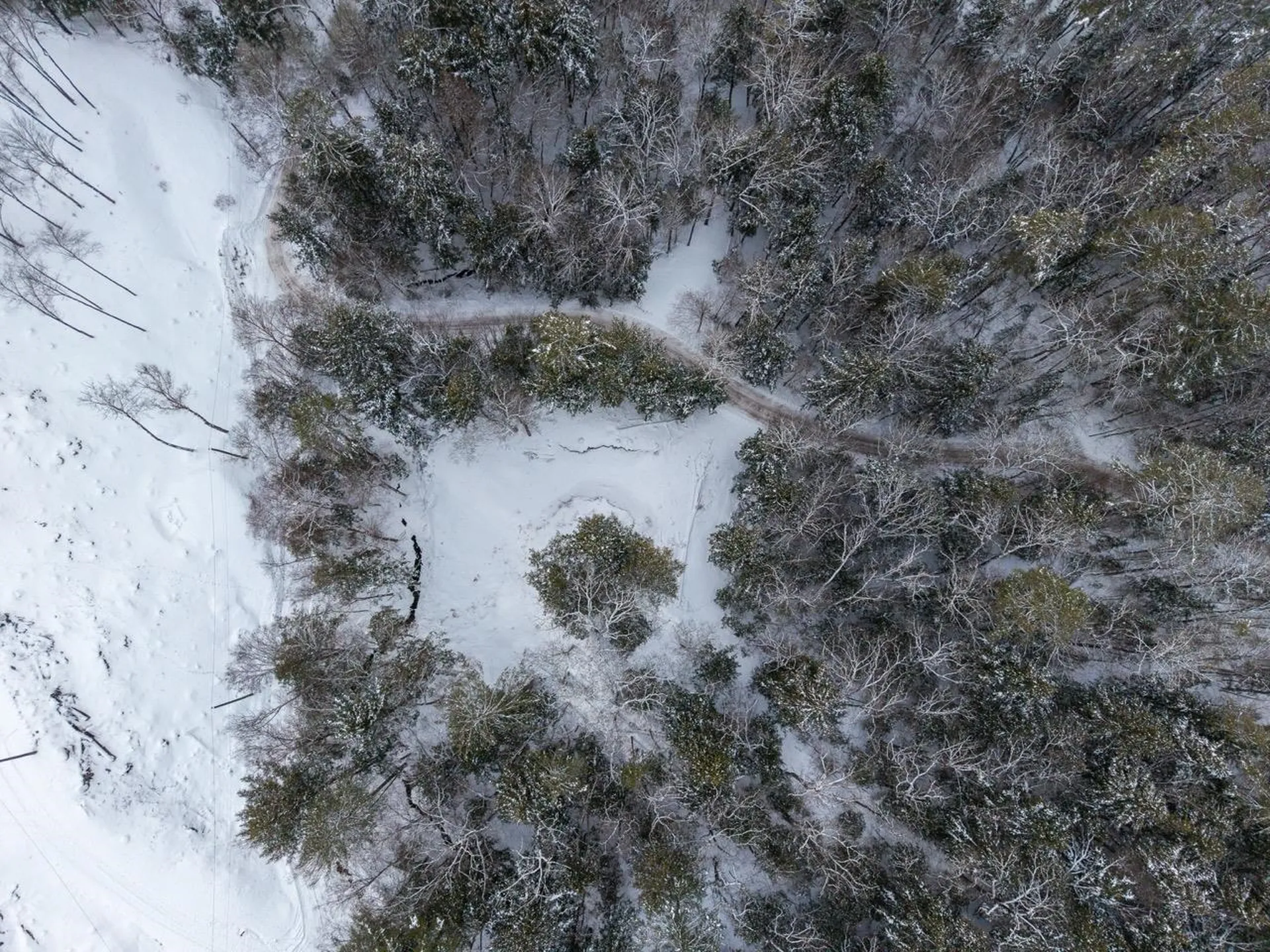 00 Wetherbee Road Lyman NH 03585