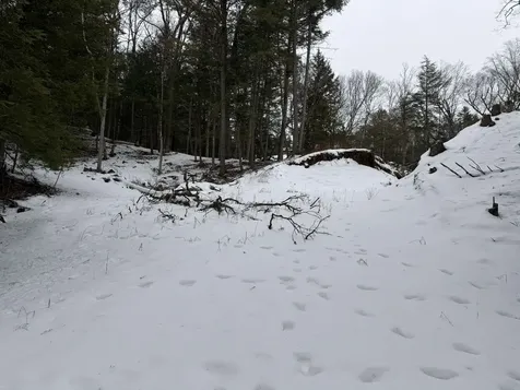 00 Wetherbee Road Lyman NH 03585