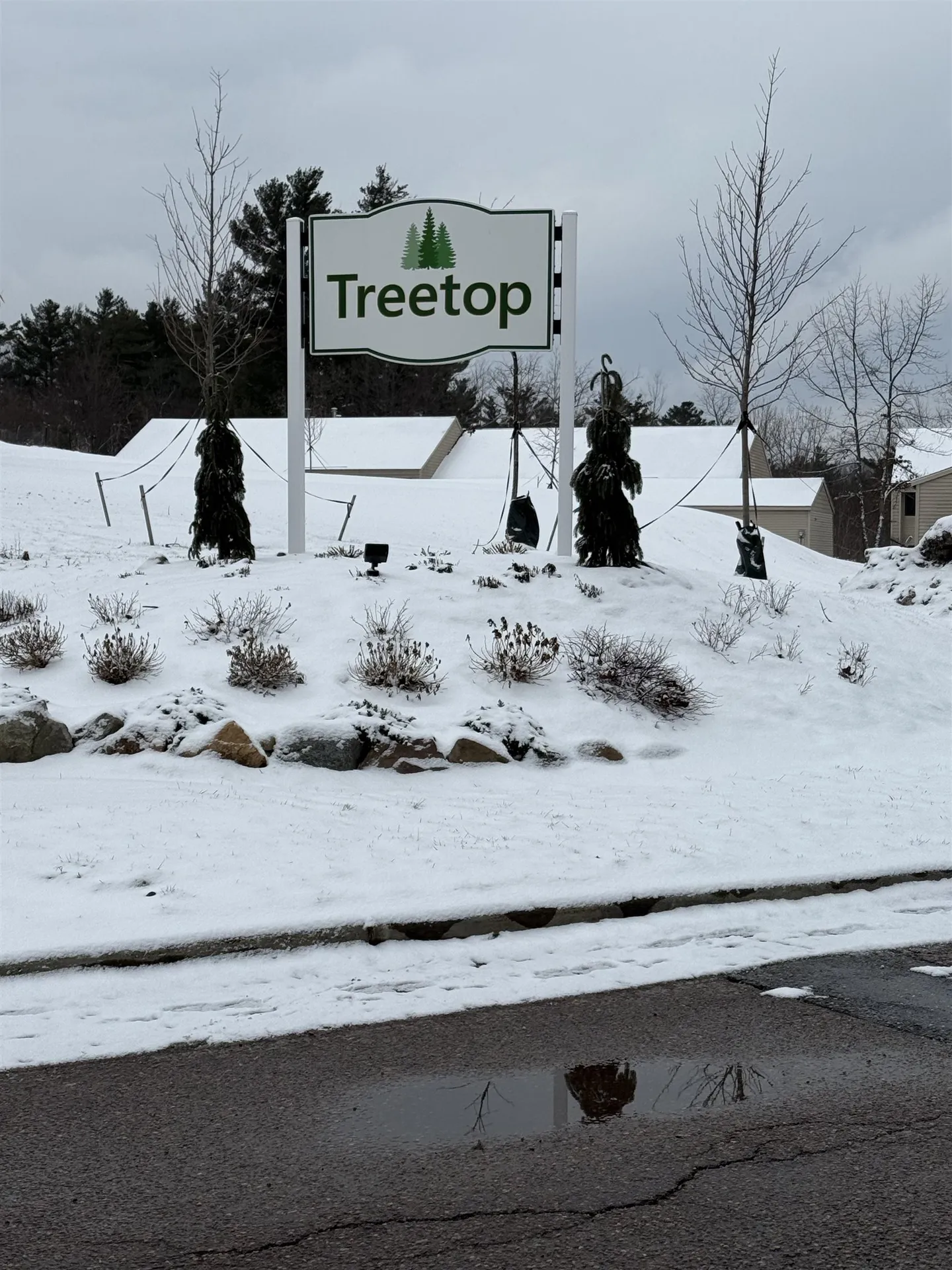 64 Bayberry Lane South Burlington VT 05403