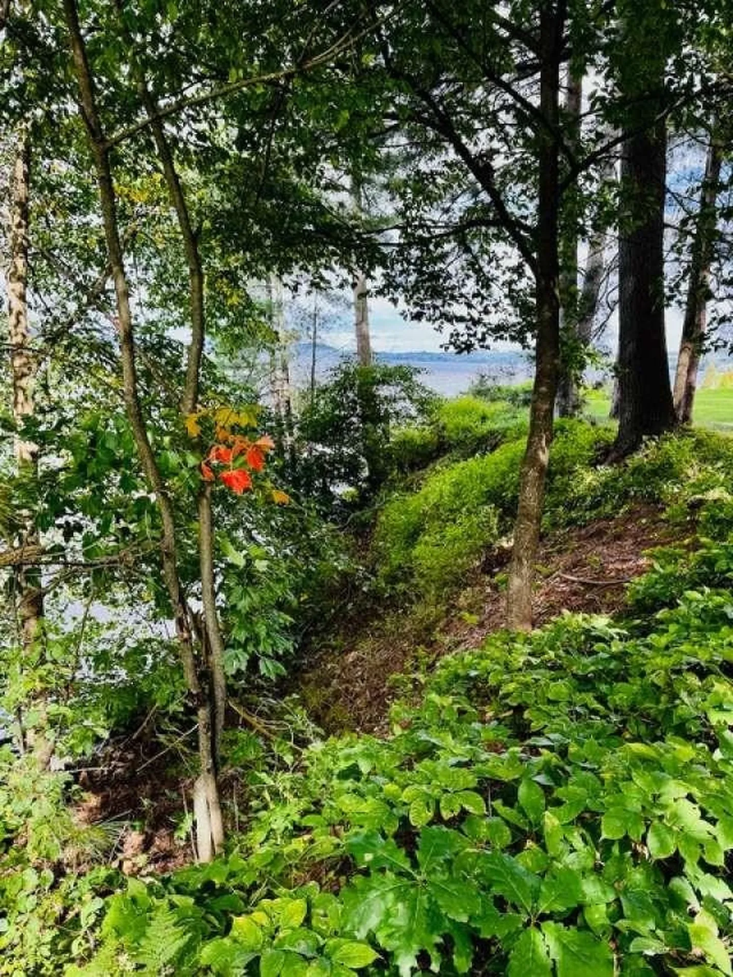 1413 Bluff Road Newport Town VT 05855