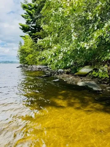 1413 Bluff Road Newport Town VT 05855