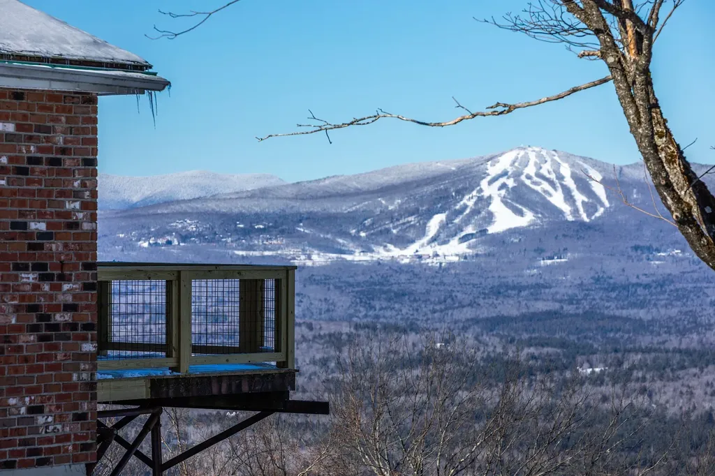 57 Pearl Buck Drive Winhall VT 05340