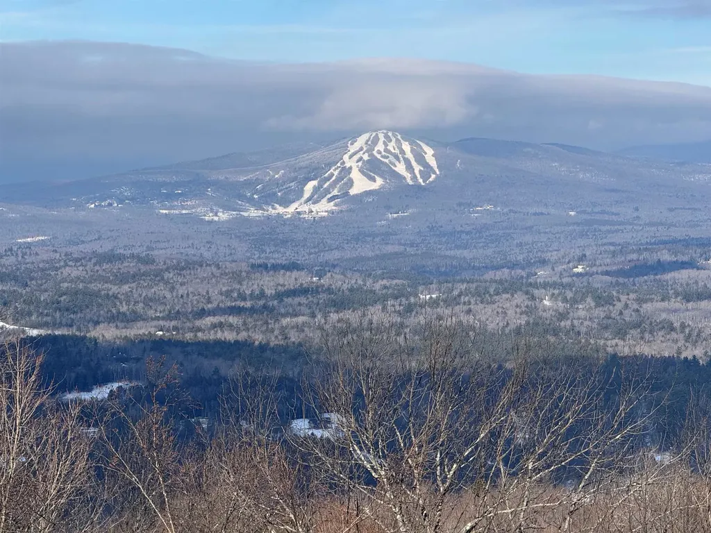 57 Pearl Buck Drive Winhall VT 05340