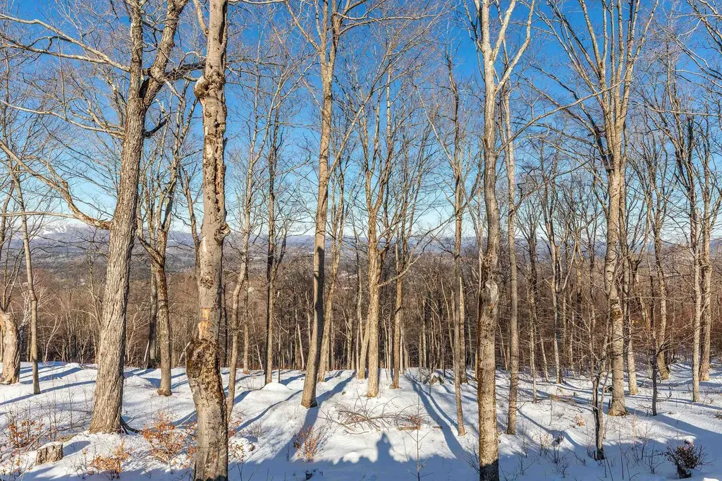 57 Pearl Buck Drive Winhall VT 05340