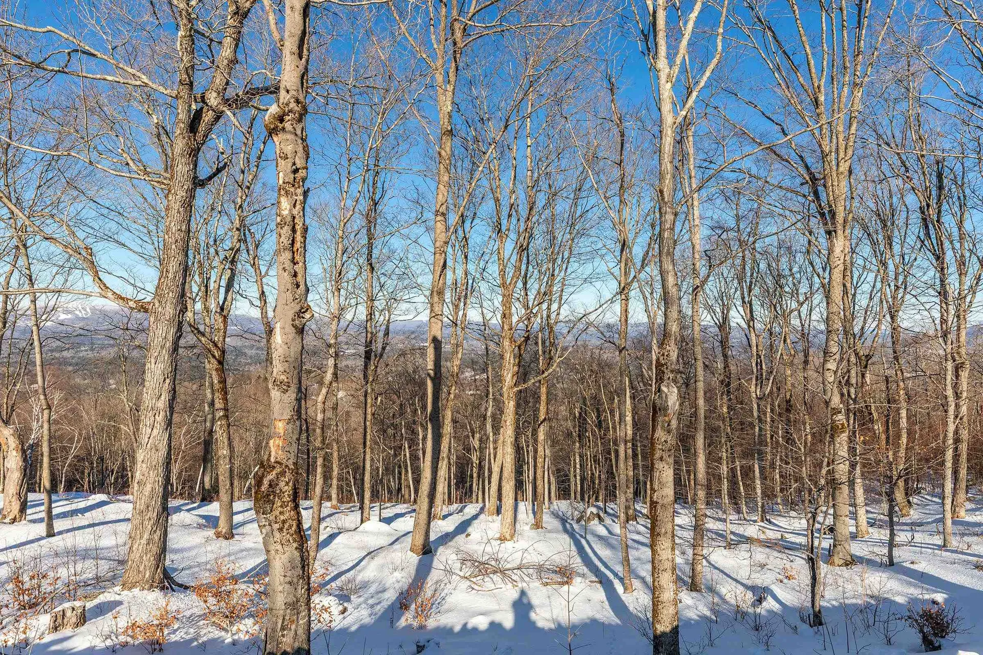 57 Pearl Buck Drive Winhall VT 05340