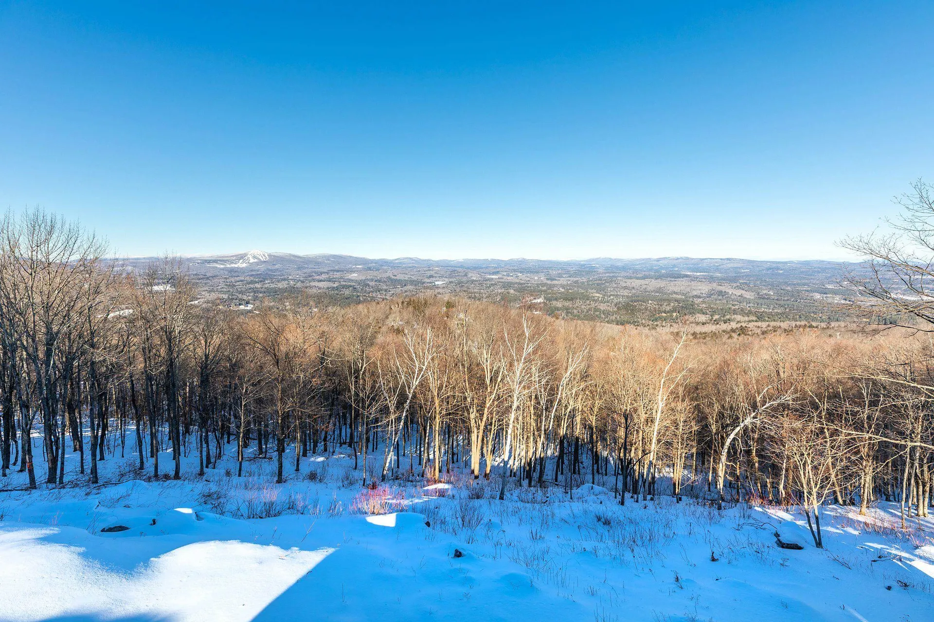 57 Pearl Buck Drive Winhall VT 05340