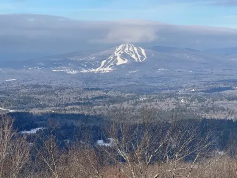 57 Pearl Buck Drive Winhall VT 05340