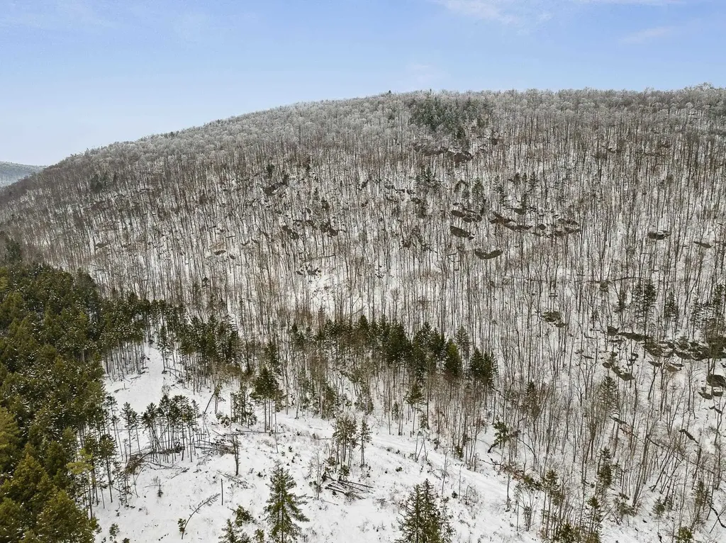 527 Vt 12 A Granville VT 05669