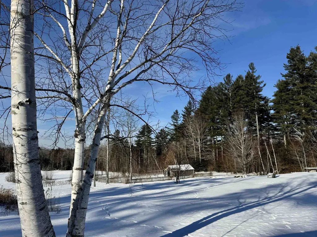 96 Tabor Road Shrewsbury VT 05738