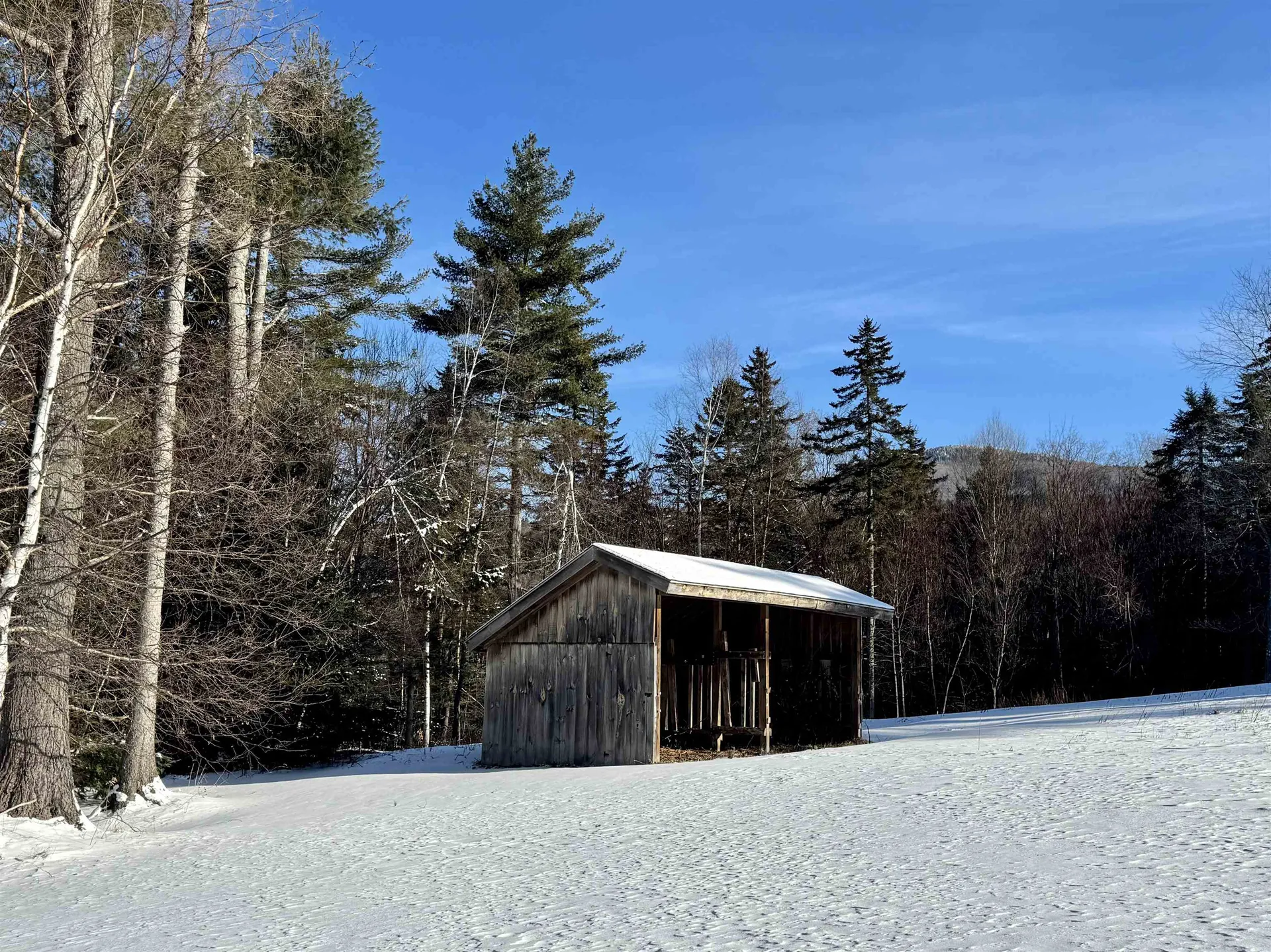 96 Tabor Road Shrewsbury VT 05738