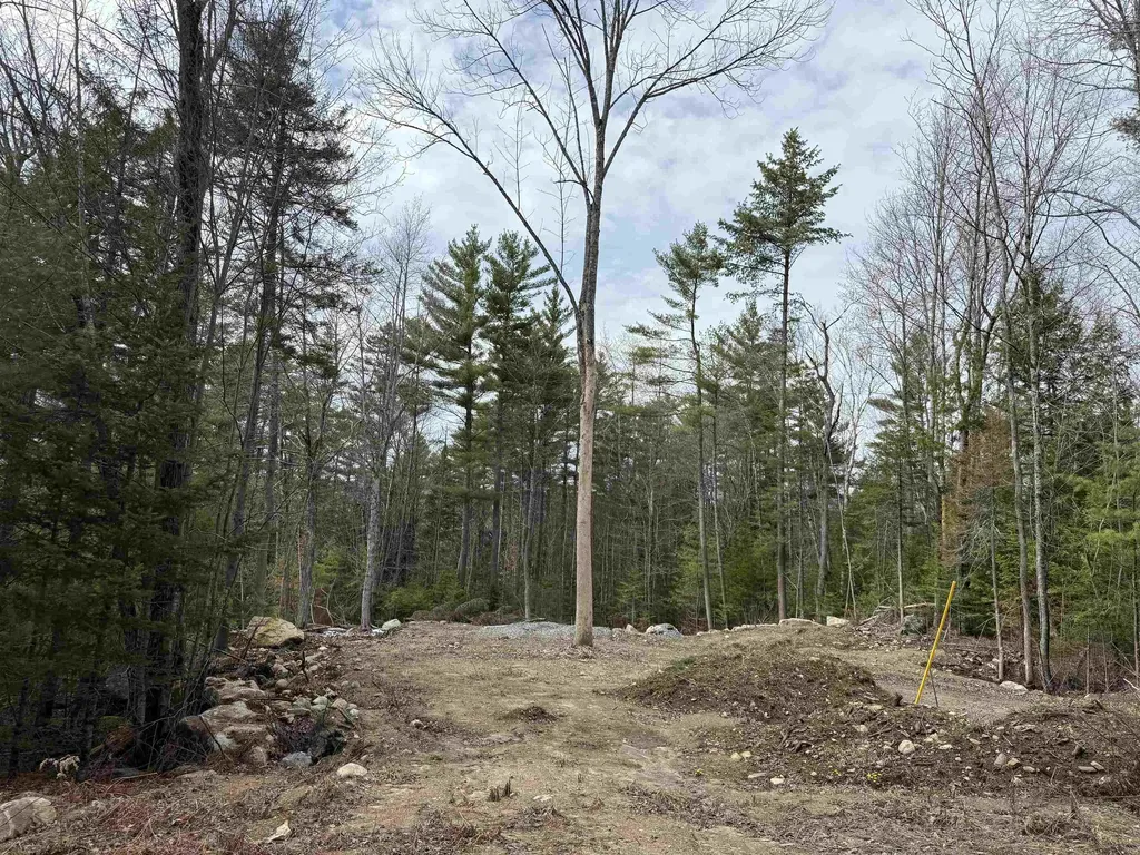 11 Dove Lane Canaan NH 03741