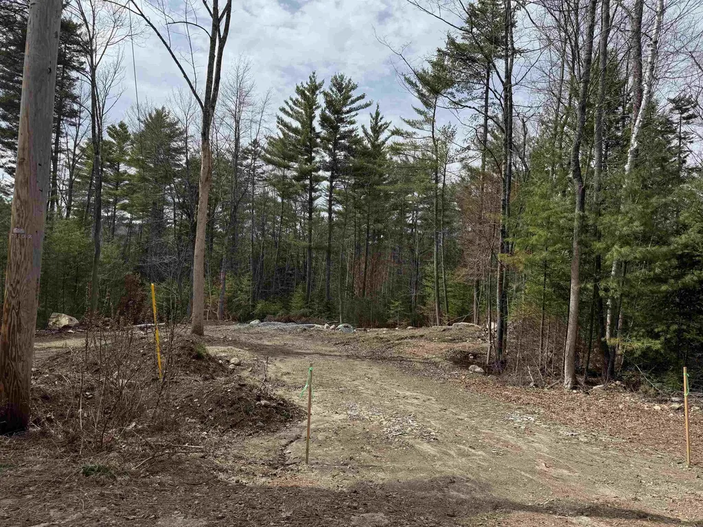11 Dove Lane Canaan NH 03741