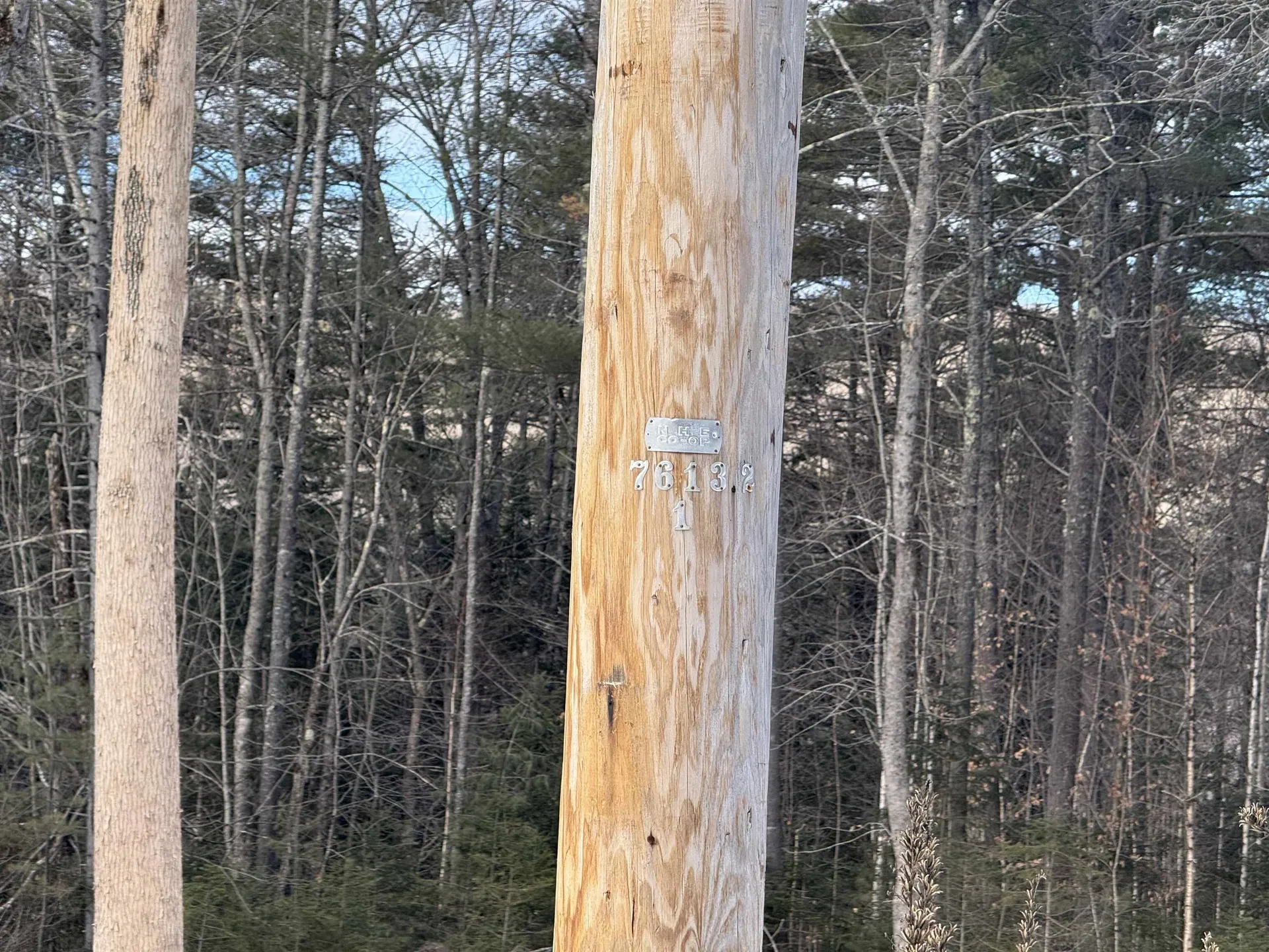 11 Dove Lane Canaan NH 03741