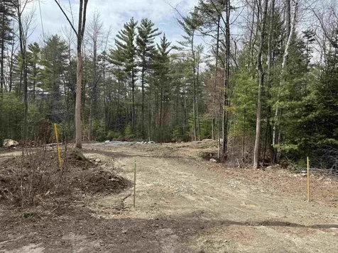 11 Dove Lane Canaan NH 03741