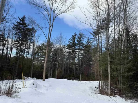 11 Dove Lane Canaan NH 03741