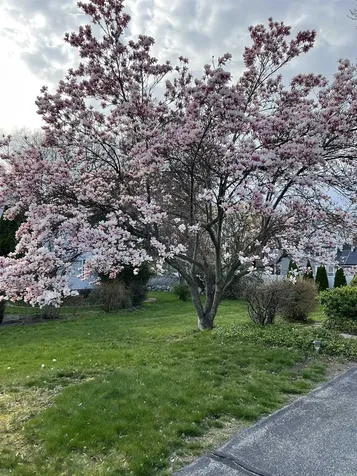 104 North Gate Road Manchester NH 03104