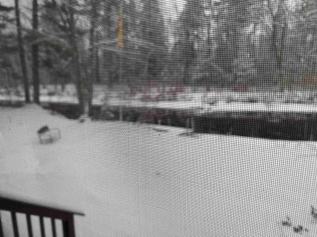 16 Hodsdon Shore Road Ossipee NH 03814