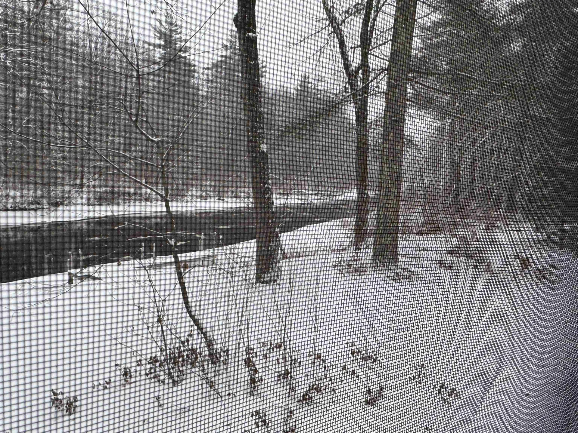 16 Hodsdon Shore Road Ossipee NH 03814