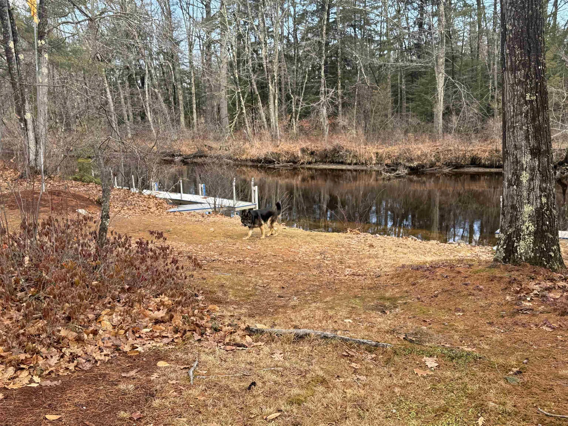 16 Hodsdon Shore Road Ossipee NH 03814