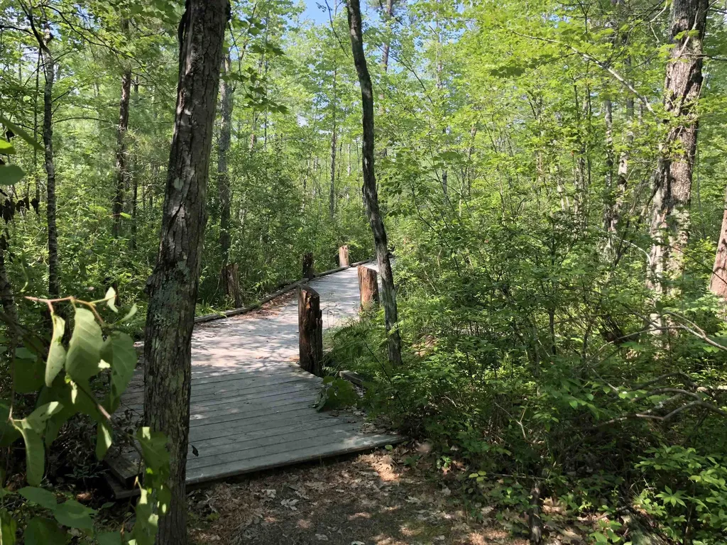 16 Hodsdon Shore Road Ossipee NH 03814