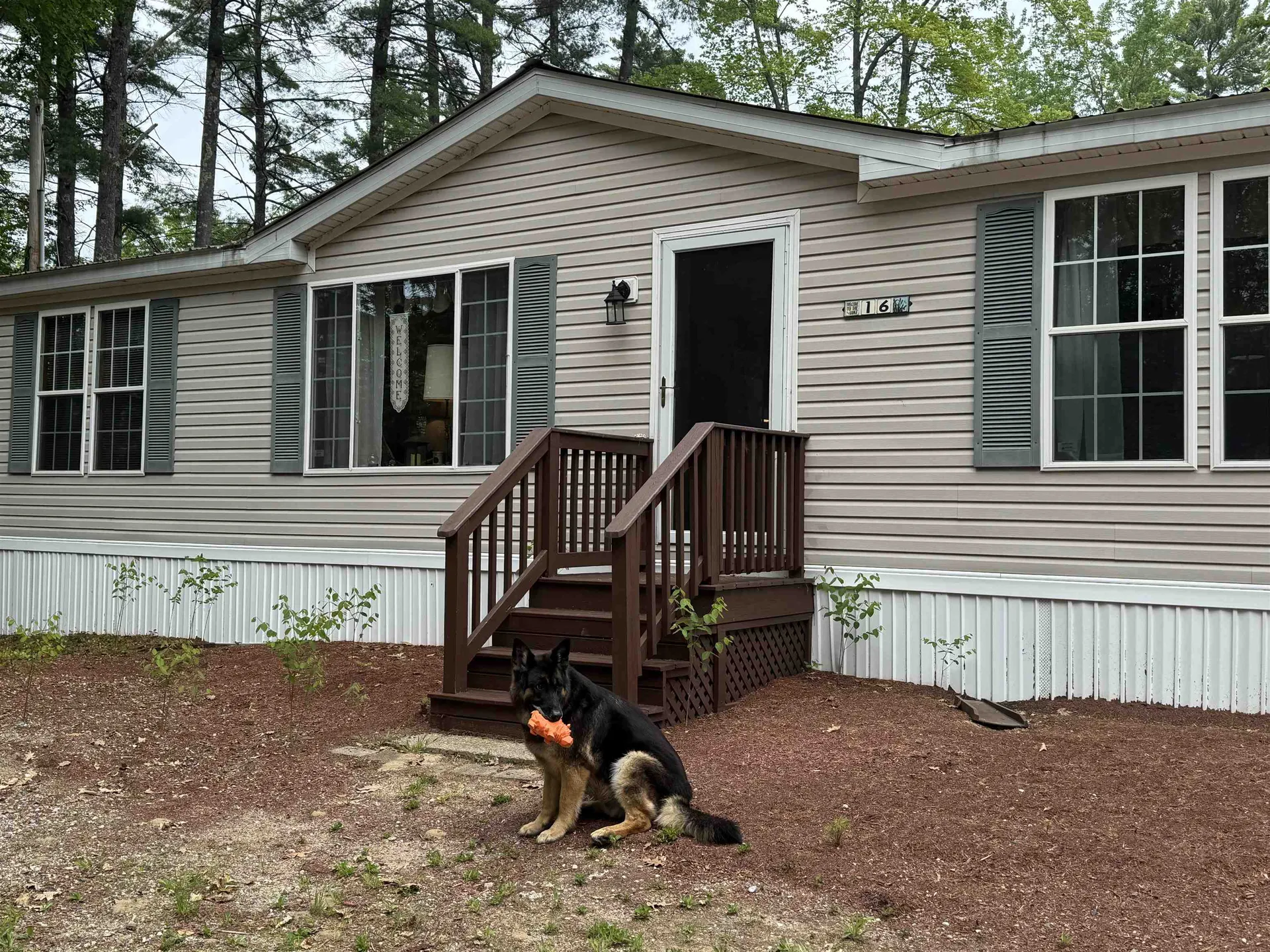 16 Hodsdon Shore Road Ossipee NH 03814