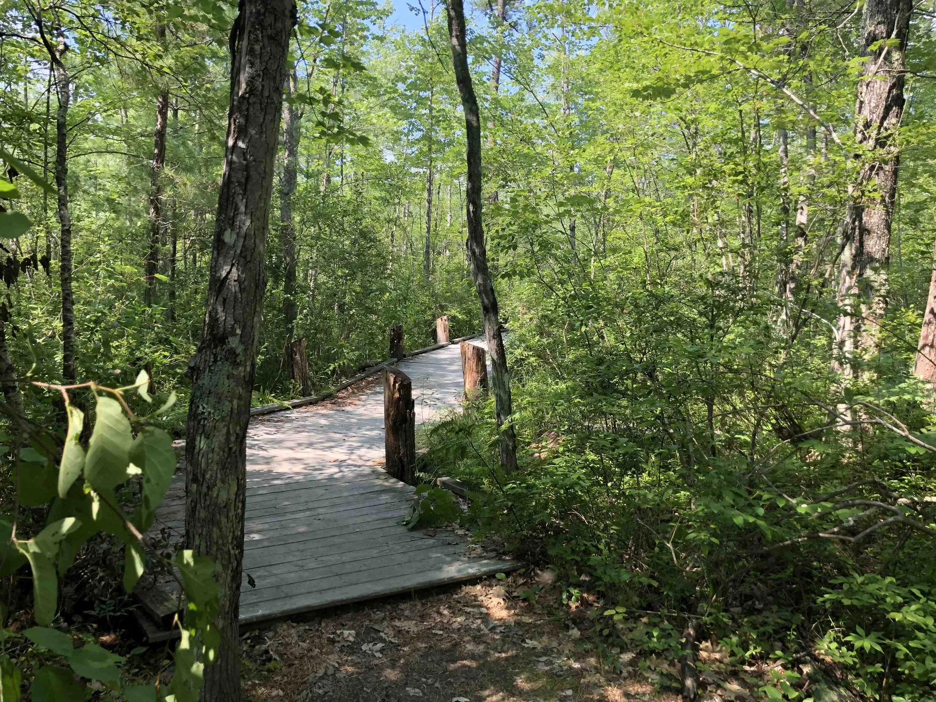 16 Hodsdon Shore Road Ossipee NH 03814