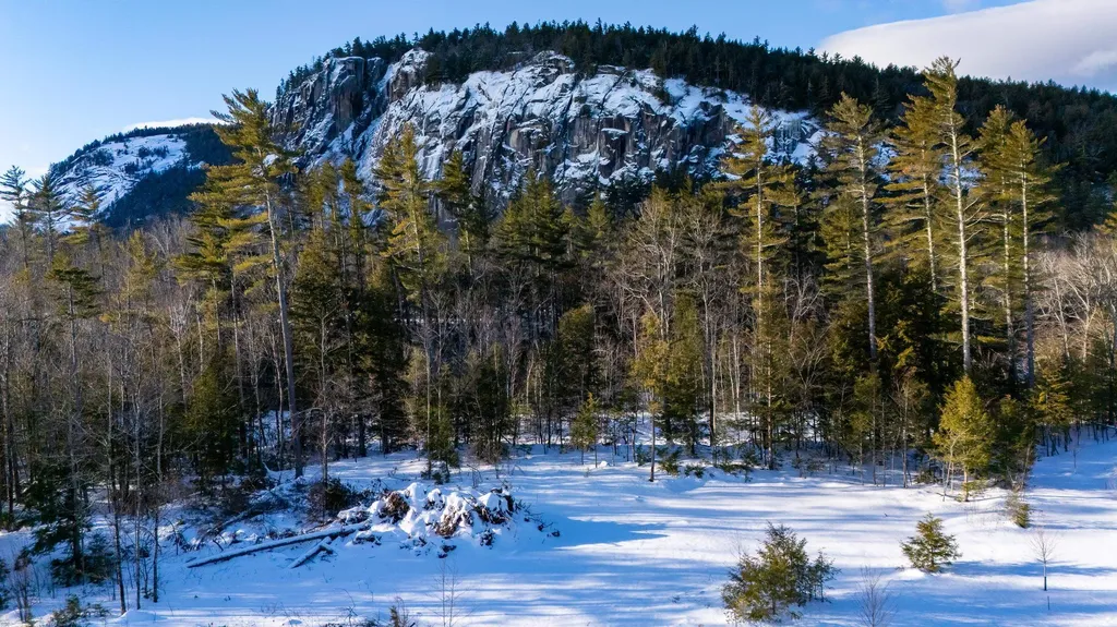 9 Lucy Brook Road Conway NH 03860