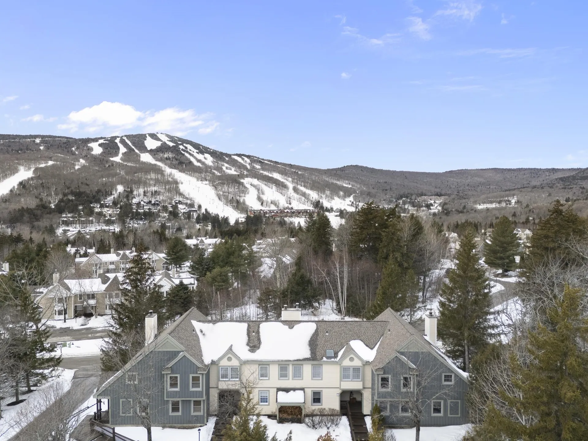 1D Dover Springs Lane Dover VT 05356