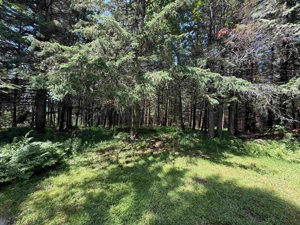 1090 Center Road Albany VT 05845